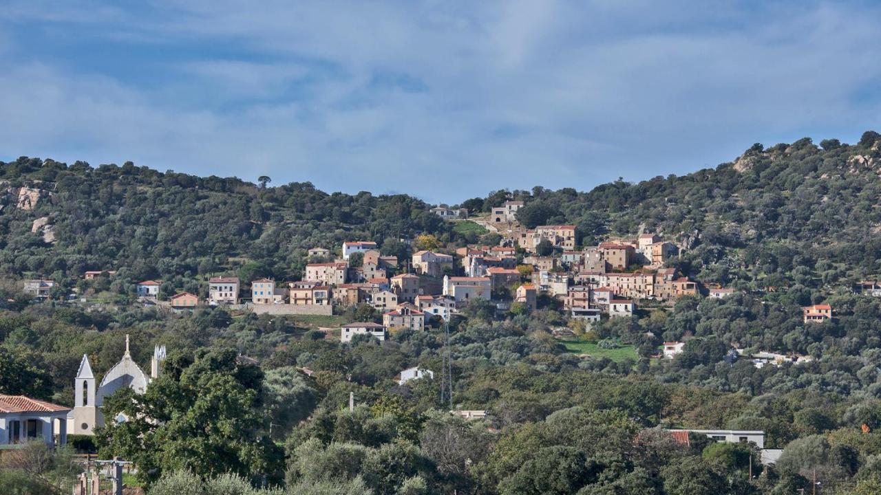 Locations Calenzana Apartment Bagian luar foto