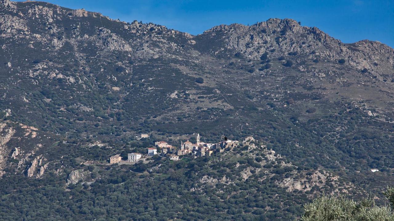 Locations Calenzana Apartment Bagian luar foto